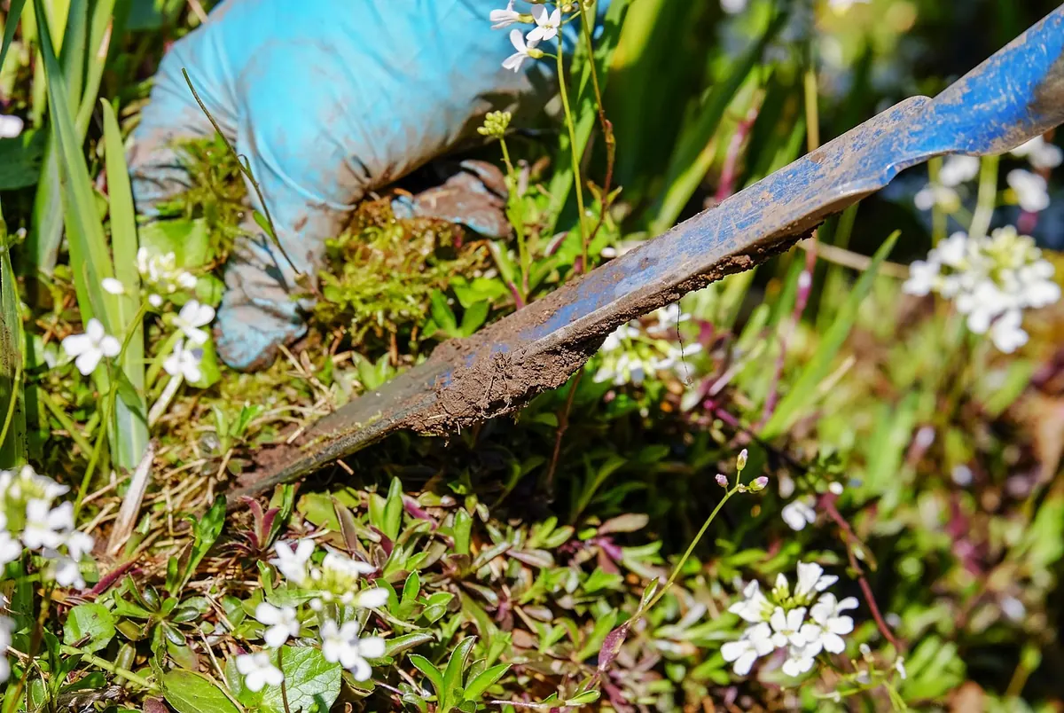 Spring Garden Cleanup Checklist: 15 Tasks Before Planting